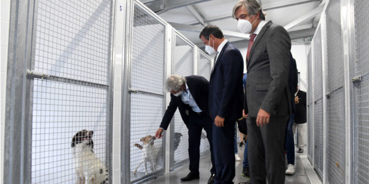 Nova casa para os melhores amigos já está a funcionar em Famalicão