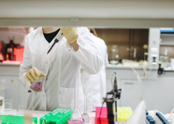 Aberta segunda fase de candidaturas para os CTeSP e CET