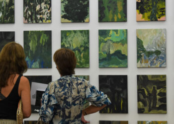 Ala da Frente acolhe «Acidentes da Sombra e da Luz» de Ilda David