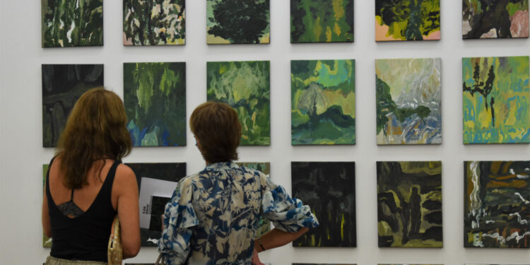 Ala da Frente acolhe «Acidentes da Sombra e da Luz» de Ilda David