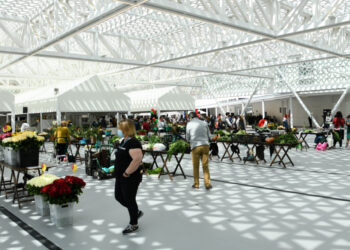 Feira de S. Miguel regressa a Famalicão