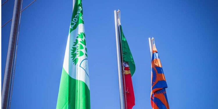 Didáxis renova Galardão Eco-Escolas