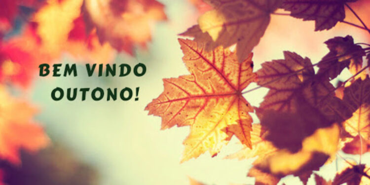 Inicia hoje o outono