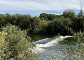 Parque Calça Ferros. Tratave ou Águas do Norte?  Quem deve ser responsabilizado pelos danos ambientais?