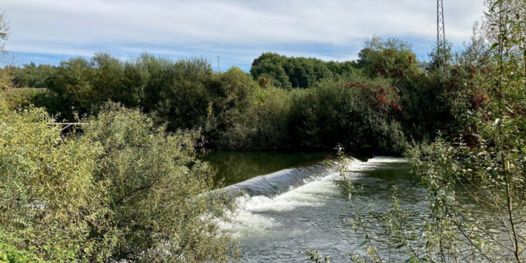 Parque Calça Ferros. Tratave ou Águas do Norte? Quem deve ser responsabilizado pelos danos ambientais?