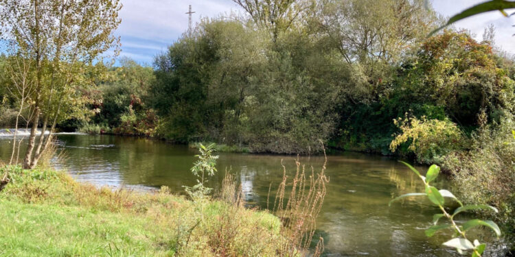 Parque Calça Ferros. Tratave ou Águas do Norte? Quem deve ser responsabilizado pelos danos ambientais?