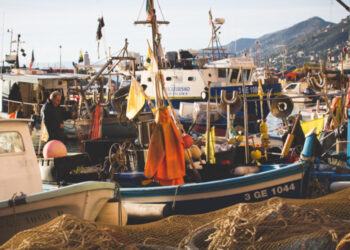 Subida dos preços dos combustíveis deixa atividade dos pescadores “insustentável”