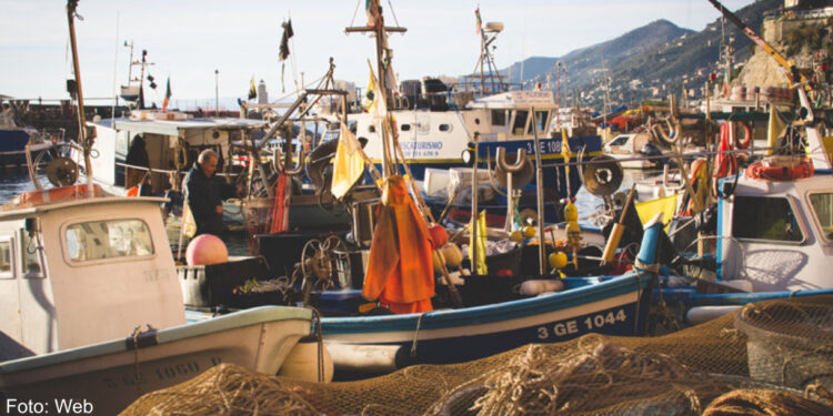 Subida dos preços dos combustíveis deixa atividade dos pescadores “insustentável”