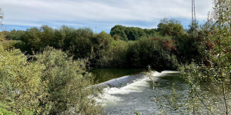 Parque Calça Ferros. Tratave ou Águas do Norte? Quem deve ser responsabilizado pelos danos ambientais?