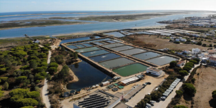 Termina hoje o evento “Aquaculture Europe 2021”