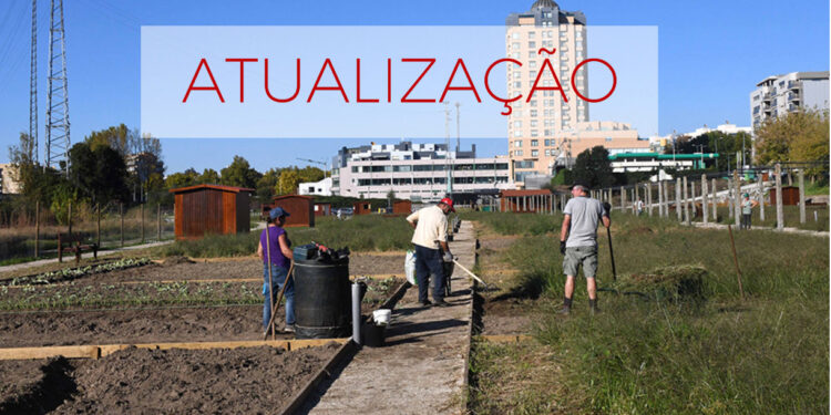 Visita de Mário Passos às novas Hortas Urbanas de Famalicão adiada para nova data