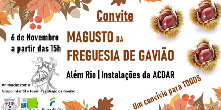 Freguesia de Gavião promove Magusto