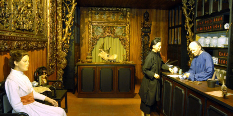 Coleções Asiáticas do Museu da Farmácia