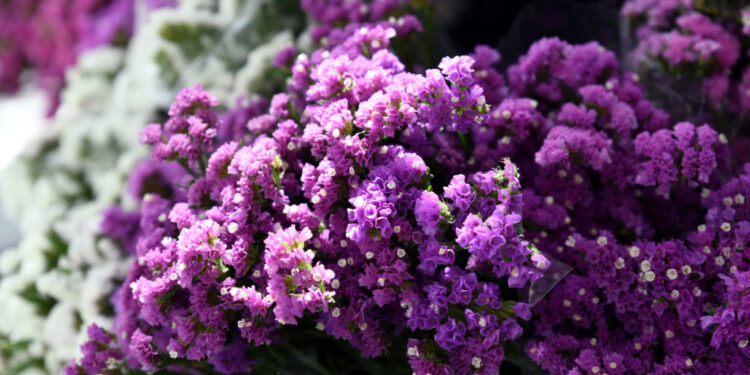 Praça – Mercado de Famalicão com horário alargado no fim-de-semana