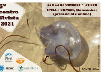 6º Encontro GelAvista 2021 vai decorrer em formato presencial e online