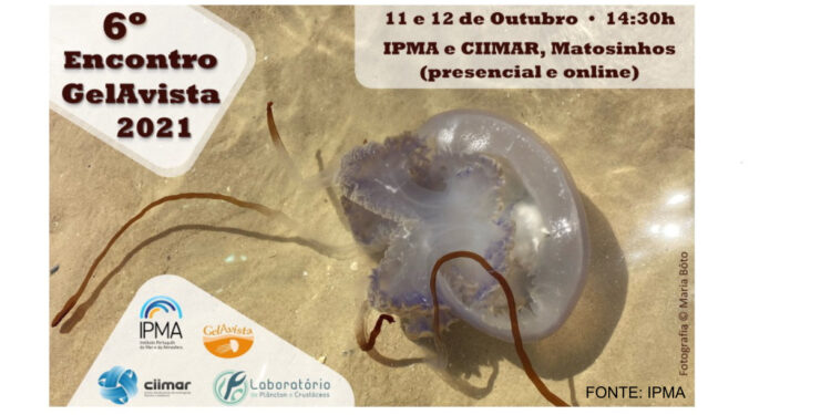 6º Encontro GelAvista 2021 vai decorrer em formato presencial e online