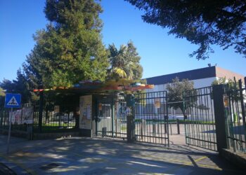 Parlamento recomenda requalificação da EB 2,3 Júlio Brandão