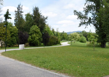 “Pulmão Verde” de Famalicão cada vez mais diversificado