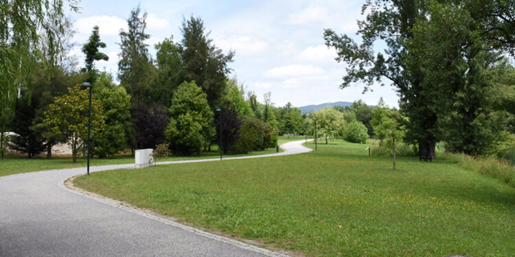 “Pulmão Verde” de Famalicão cada vez mais diversificado