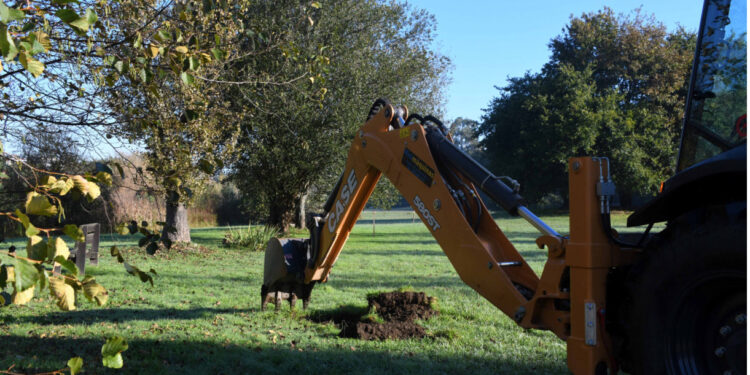 Mário Passos planta árvore na Devesa no âmbito do projeto de valorização do ecossistema do parque