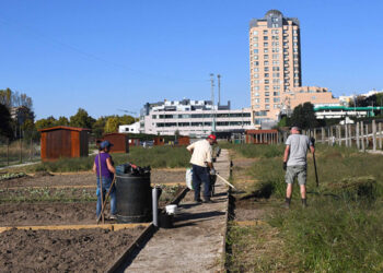 Mário Passos visita novas Hortas Urbanas de Famalicão
