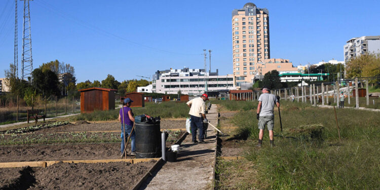Mário Passos visita novas Hortas Urbanas de Famalicão
