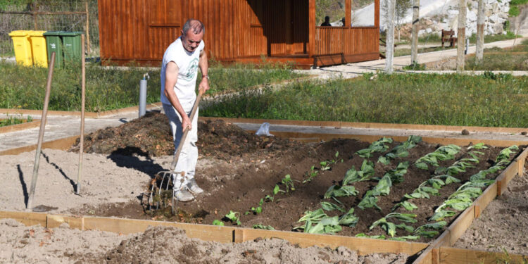 Cerca de 170 hortelãos já cultivam nas novas Hortas Urbanas de Famalicão