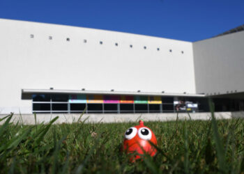 Campanha do Pirilampo Mágico arranca sexta-feira, 15 de outubro