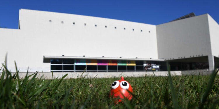 Campanha do Pirilampo Mágico arranca sexta-feira, 15 de outubro