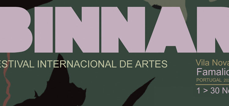 6ª edição do Festival de Arte BINNAR