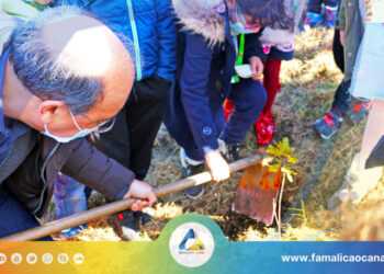 Vila Verde: Alunos foram ao Monte de S. Miguel-o-Anjo plantar árvores autóctones