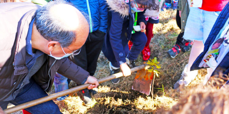 Vila Verde: Alunos foram ao Monte de S. Miguel-o-Anjo plantar árvores autóctones