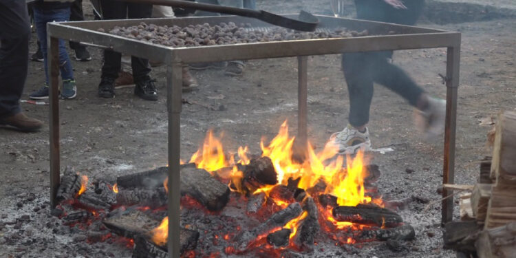 Famalicão: Castanhas e música animaram S. Vicente em Sezures