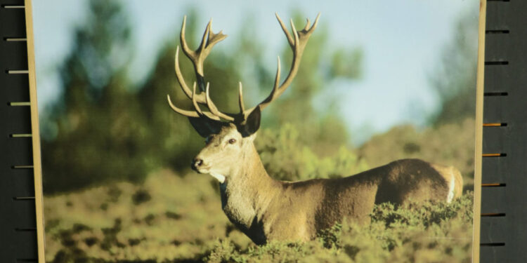 Vila Verde: Alunos desafiados a educar adultos com bons hábitos ambientais em casa