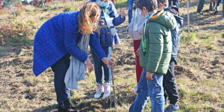 Vila Verde: Alunos foram ao Monte de S. Miguel-o-Anjo plantar árvores autóctones