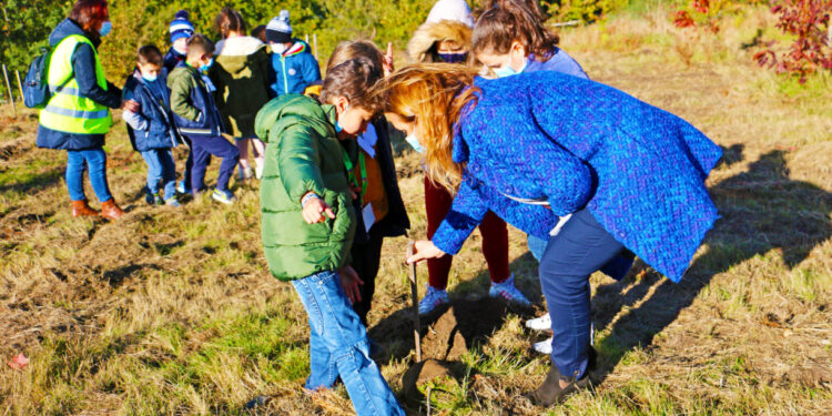 Vila Verde: Alunos foram ao Monte de S. Miguel-o-Anjo plantar árvores autóctones