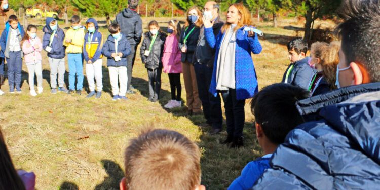 Vila Verde: Alunos foram ao Monte de S. Miguel-o-Anjo plantar árvores autóctones