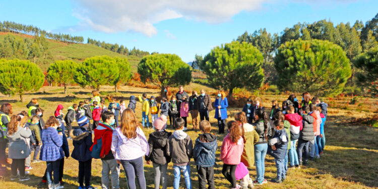 Vila Verde: Alunos foram ao Monte de S. Miguel-o-Anjo plantar árvores autóctones