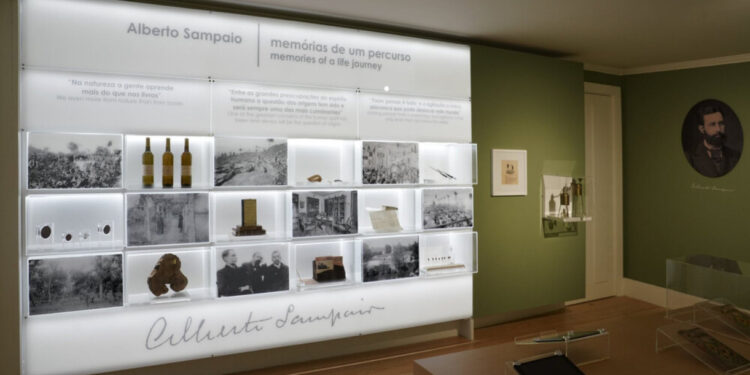 Famalicão e Guimarães preservam legado de Alberto Sampaio