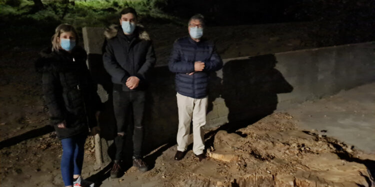 CDU questiona Câmara Municipal sobre abate de árvore centenária em Joane