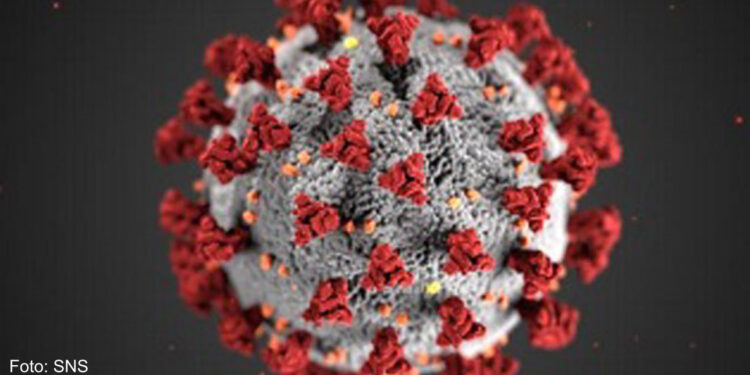 Portugal regista hoje mais de três mil casos de covid-19