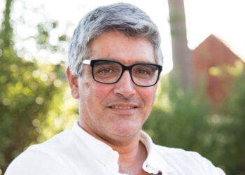 Estudo publicado na Science desvenda mecanismo crítico no desenvolvimento do cérebro