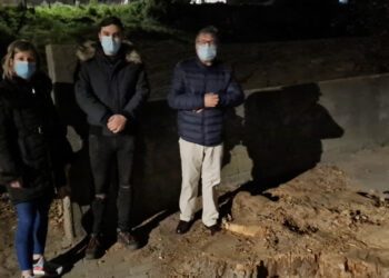 CDU questiona Câmara Municipal sobre abate de árvore centenária em Joane