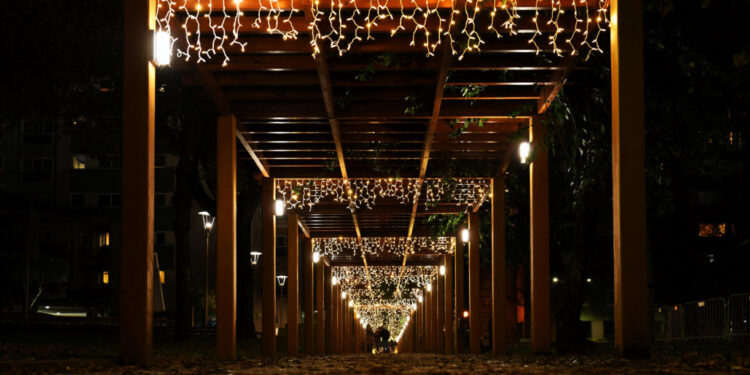 Famalicão inaugura iluminação e celebra regresso da Árvore de Natal à cidade