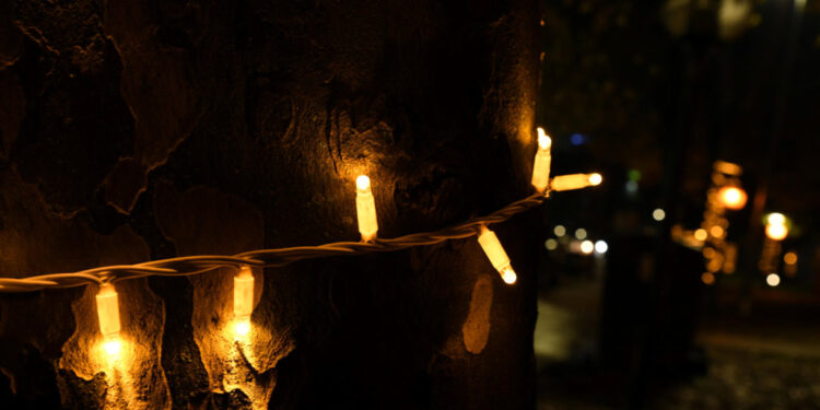 Famalicão inaugura iluminação e celebra regresso da Árvore de Natal à cidade