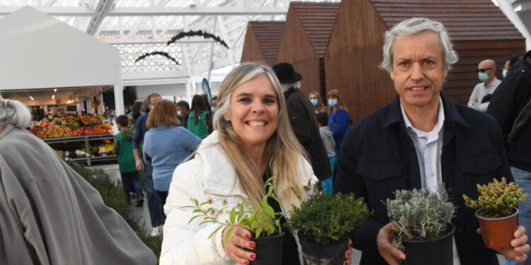 Êxito na iniciativa “25 mil árvores para 2025”