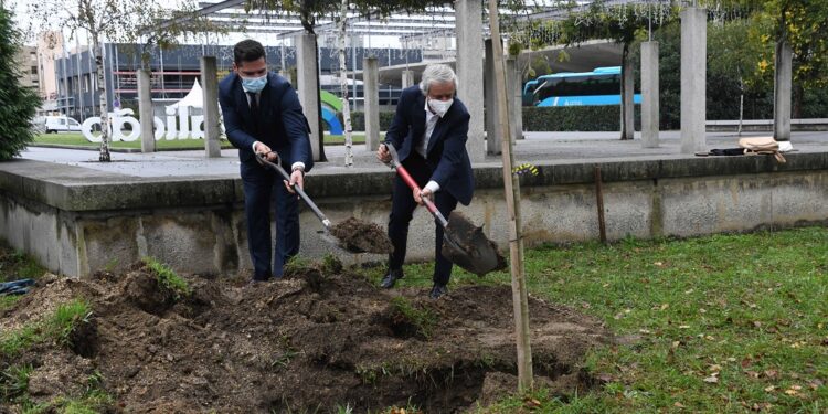 Devesa vai receber quase duas mil árvores no âmbito do projeto de valorização do ecossistema