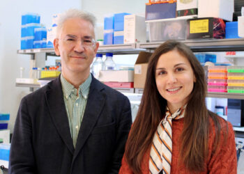 Estudo revela que fármaco usado no tratamento da epilepsia pode ser terapia promissora para a Doença de Machado-Joseph