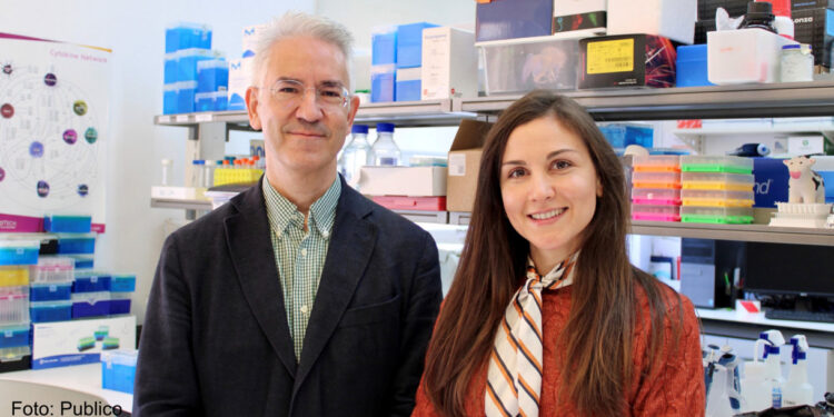 Estudo revela que fármaco usado no tratamento da epilepsia pode ser terapia promissora para a Doença de Machado-Joseph