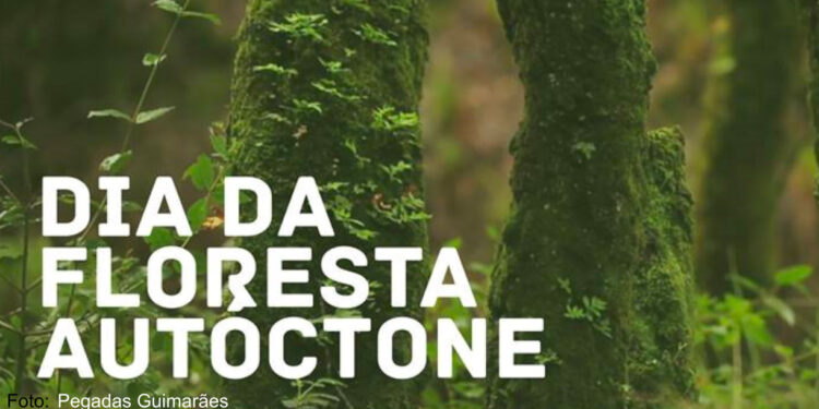 Mário Passos lança “30 mil árvores para 2030” no Dia da Floresta Autóctone